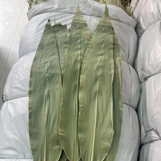 温州粽叶批发