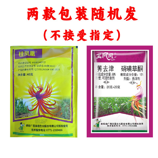 南宁桂凤凰玉凤凰硝磺草酮莠去津玉米田一年生杂草除草剂全力锄
