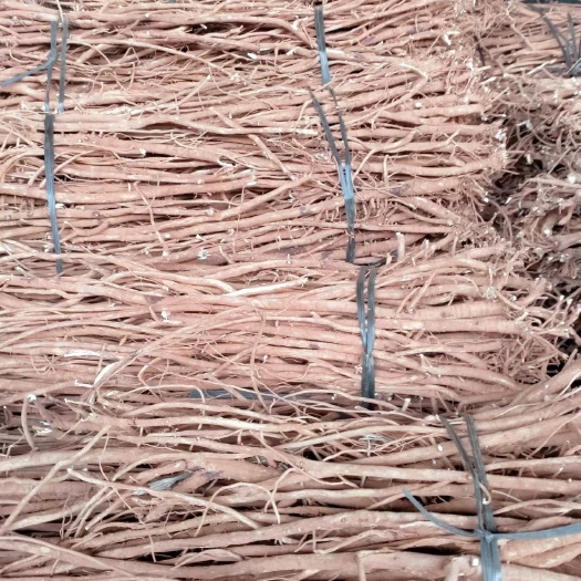全州县小叶千斤拔干货，鲜货大量供应