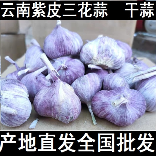 云南全干紫皮紅皮 三花蒜 三丫蒜 三元蒜 元寶蒜 干蒜