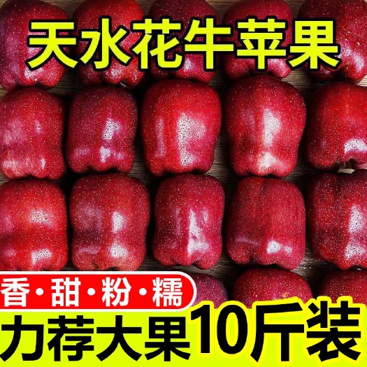 新鲜水果国庆节休闲水果天水花牛苹果脆甜蛇果