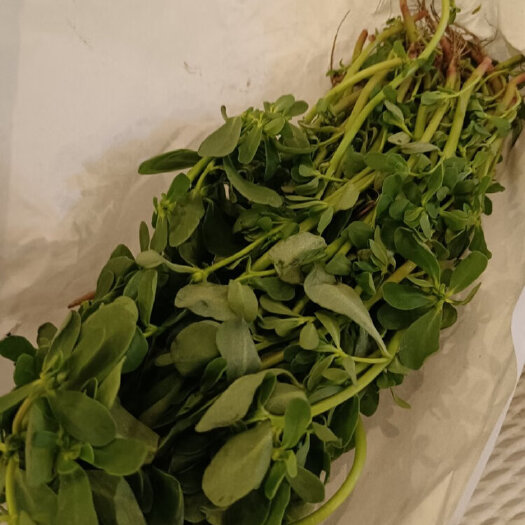 廉江市新鲜，现择，不包邮