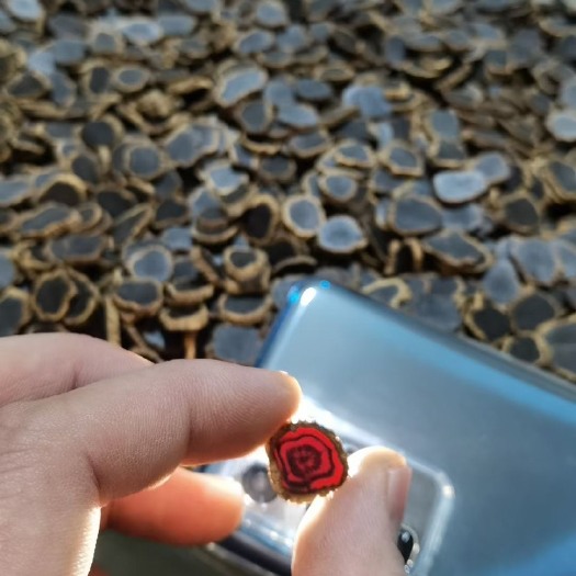 昆明大力金边黑参 有大货