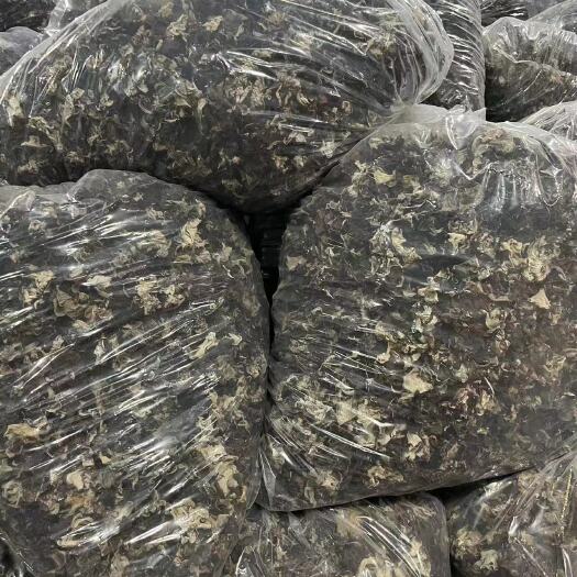 天峨县毛木耳