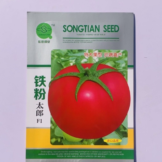 沭阳县铁粉太郎番茄种子粉太郎粉红番茄种子高秧粉果硬果西红柿种籽高产