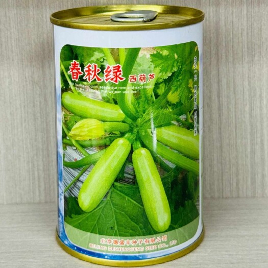 沭阳县春秋绿西葫芦种子四季绿皮西葫芦种籽高产抗病春秋季节种子瓜种籽
