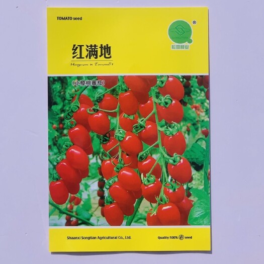 松田红满地番茄种子深粉红番茄早熟小樱桃番茄种子有机西红柿种籽