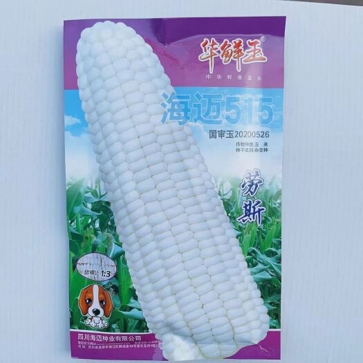 沭阳县海迈劳斯非转基因玉米种子国审香甜糯玉米高产软糯香甜鲜食粘玉米