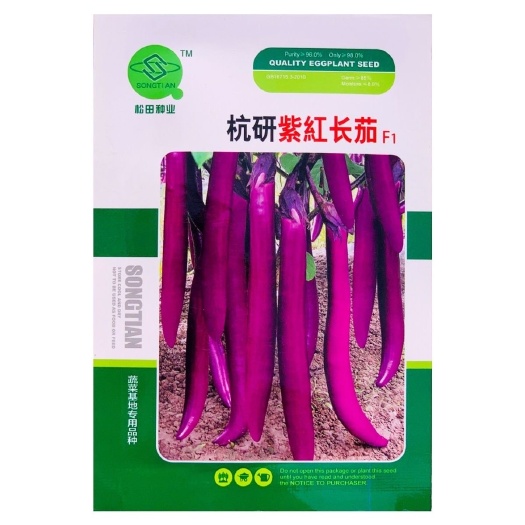 沭阳县杭研紫红长茄种子线茄杭茄油亮早熟顺直长茄紫红艳丽高产细茄种孑
