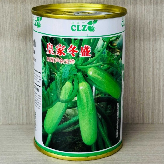 沭阳县皇家冬盛西葫芦种子耐寒品相好瓜直西葫芦种籽大棚种植种籽