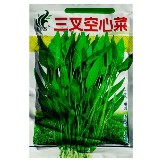 福建正宗大叶三叉空心菜种子泰国空心菜青梗高产量春夏秋三季种植