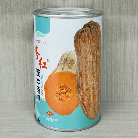 沭阳县金记粤红蜜本南瓜种子三系杂交蜜本南瓜种籽大果型高产基地大田种