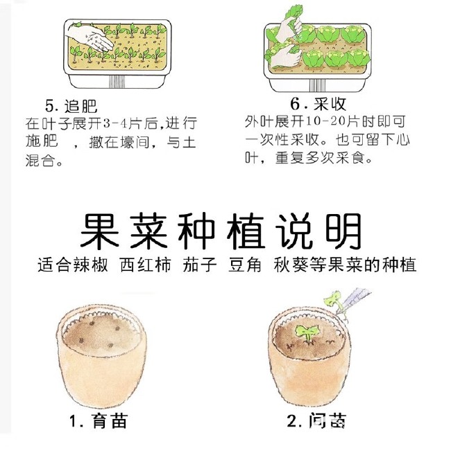 百萌樱桃萝卜种子三系杂交小红水果萝卜籽四季种植不糠心阳台盆栽