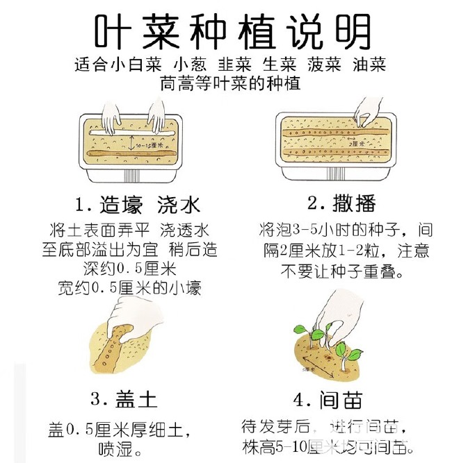 百萌樱桃萝卜种子三系杂交小红水果萝卜籽四季种植不糠心阳台盆栽