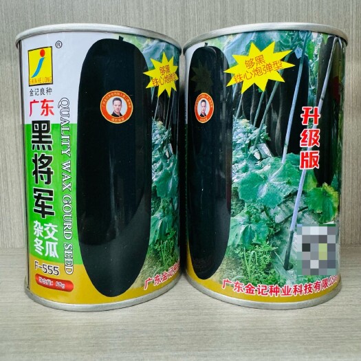 沭阳县广东金记黑金刚黑将军黑皮冬瓜种籽抗病耐热耐寒大炮弹型冬瓜种子