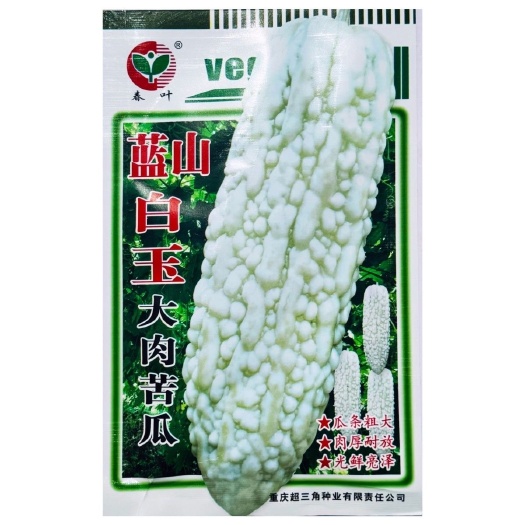 蓝山白玉大肉苦瓜种子耐热高产肉厚抗病长白苦瓜抗热耐肥长圆筒形