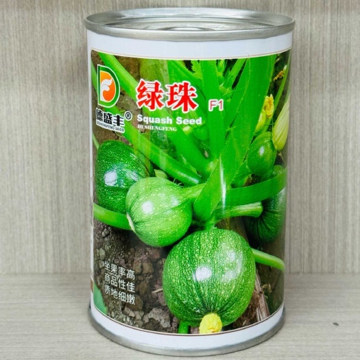 沭阳县绿珠西葫圆葫芦种子南瓜圆西葫芦籽高产耐寒抗病四季基地易种