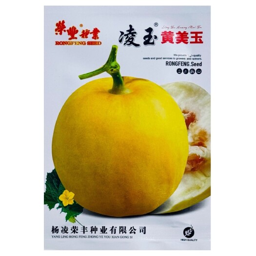 沭阳县凌玉黄美玉早熟薄皮甜瓜种籽杂交一代耐湿高产口感嫩甜甜瓜种子