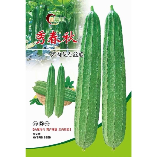 沭阳县秀春秋大肉花点丝瓜种籽特厚肉耐热棱角丝瓜种子春秋大田蔬菜种孑