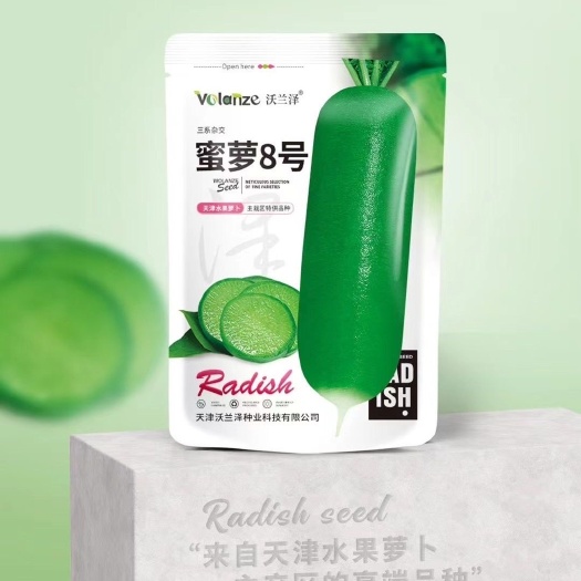 沭阳县蜜萝八号水果萝卜三系杂交种子青皮青肉脆甜多汁正宗沙窝萝卜种籽