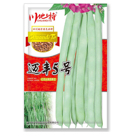 沭阳县红花白荚四季豆种子有架四季豆种子菜豆早熟高产肉厚春秋播蔬菜种