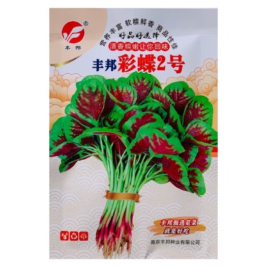 沭阳县丰邦彩蝶2号 红苋菜种子花红大圆叶耐热耐抽苔四季蔬菜籽阳台庭