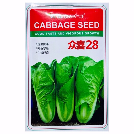 沭阳县众喜28速生快菜耐热四季播种无茸毛叶色圆绿口感脆甜柔糯早熟高