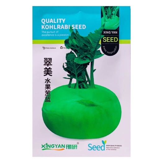 沭阳县翠美水果苤蓝种子球茎苤菜天津青苤蓝大头菜薄皮生吃脆甜嫩芥兰头