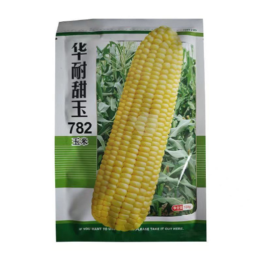 沭阳县原装华耐甜玉782水果玉米种子生吃甜脆玉米种黄色甜苞米非转基