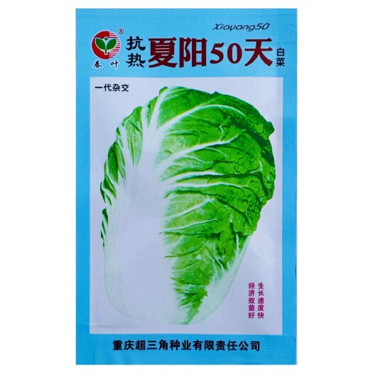 沭阳县抗热夏阳50天白菜种子速生长早熟大白菜种子无毛品质优大田基地