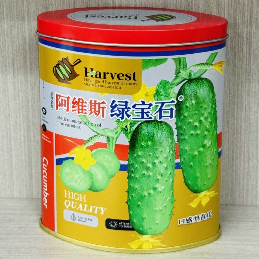 阿维斯绿宝石黄瓜种子速生长高产薄皮黄瓜种子口感佳脆抗病黄瓜种