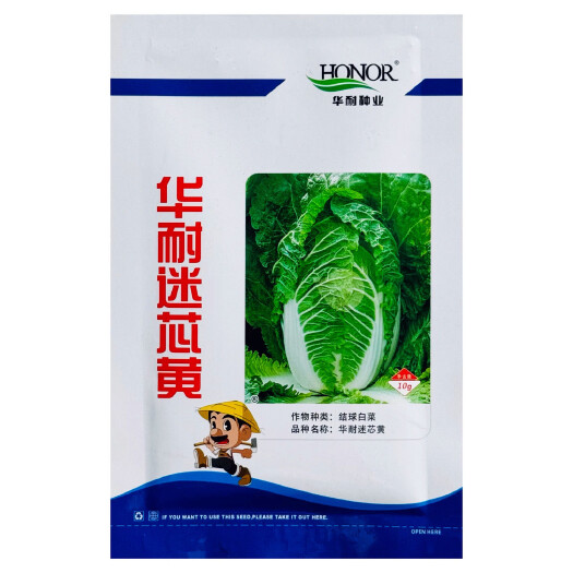 沭阳县华耐迷芯黄中颗型大白菜种子大田蔬菜种春秋播种高产黄心大白菜种