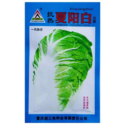 沭阳县抗热夏阳白大白菜种子一代杂交早熟无毛大田基地大白菜种子抗病