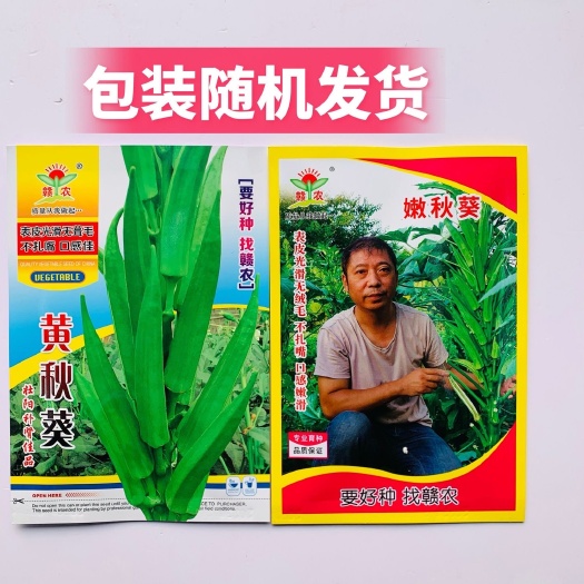 赣农黄秋葵种籽油绿一号秋葵种子高产翠绿水果秋葵种籽抗病四季播