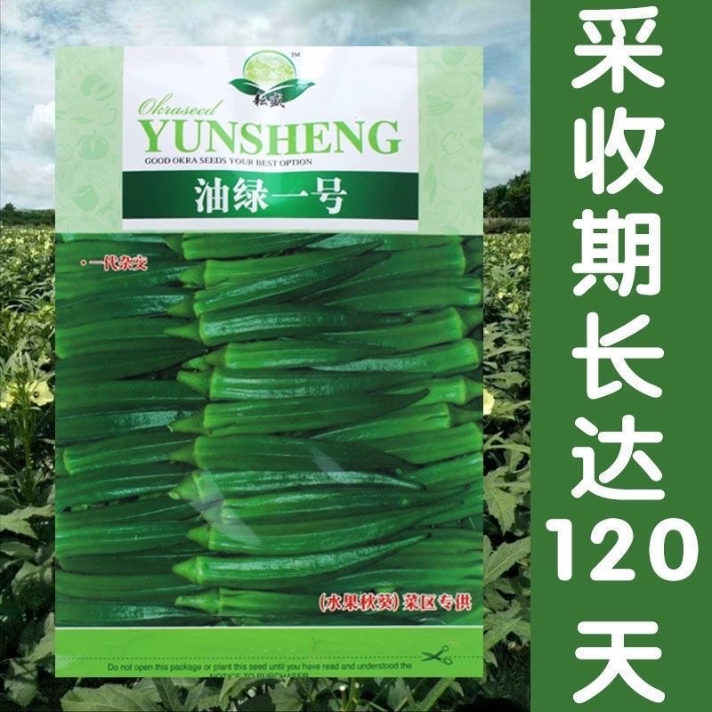 赣农黄秋葵种籽油绿一号秋葵种子高产翠绿水果秋葵种籽抗病四季播