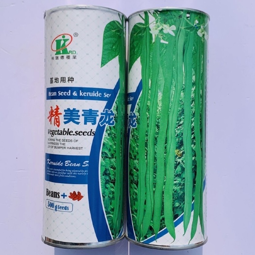 沭阳县精美青龙架豆王种子产量高纤维少早熟绿条圆长架豆种籽大田用种孑