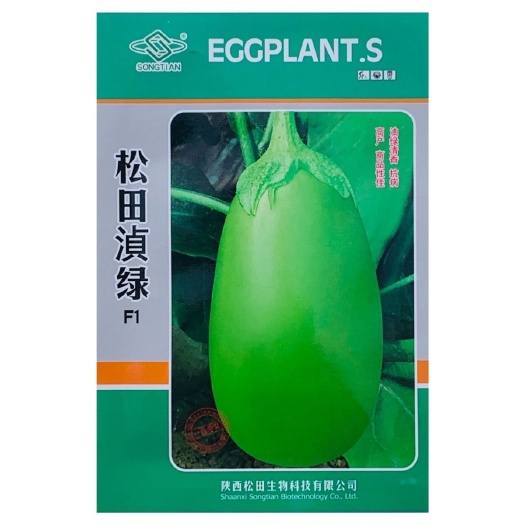 沭阳县松田浈绿茄子种子油绿长圆茄种籽早熟大果茄子抗病强春秋基地高产