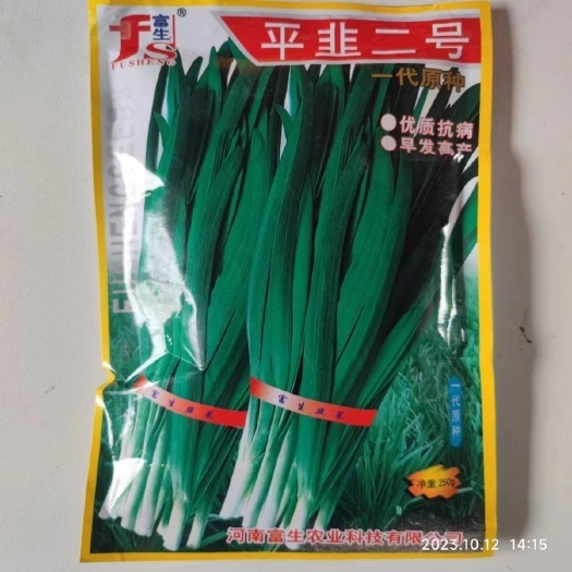 沭阳县富生平韭二号韭菜种子宽叶肥厚速生早春大田保护地种植高产抗病籽