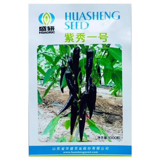 沭阳县紫秀一号辣椒种子速生长无辣味春秋适种辣椒种籽水果辣椒高产抗病