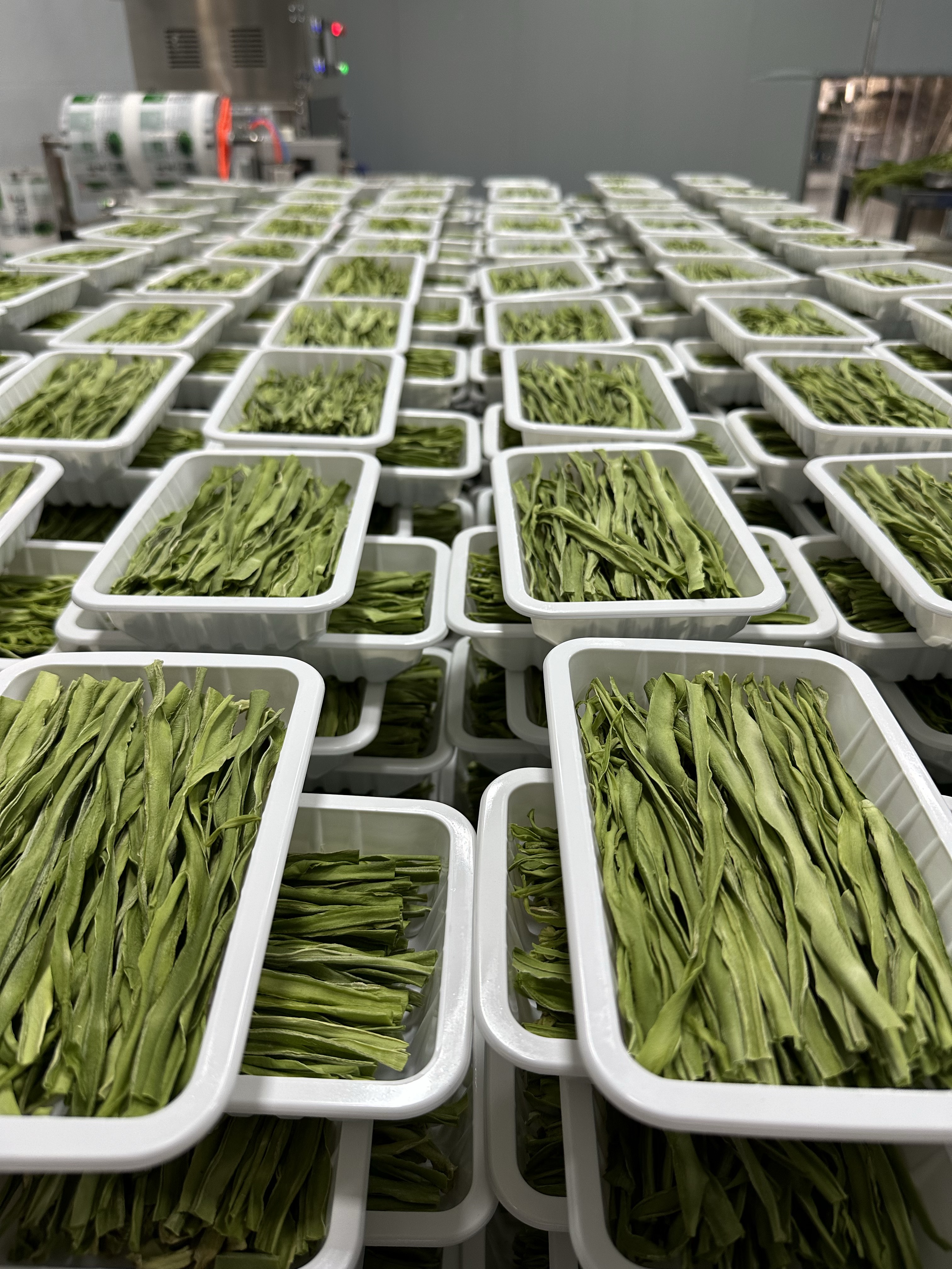 云南贡菜高原贡菜干火锅餐饮商超切段盒装贡菜