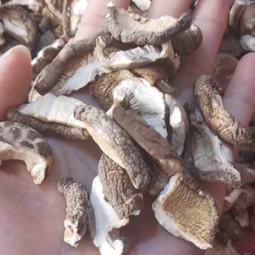 随县湖北随县产地直销中号香菇碎片，干度好，菇质厚实香味足