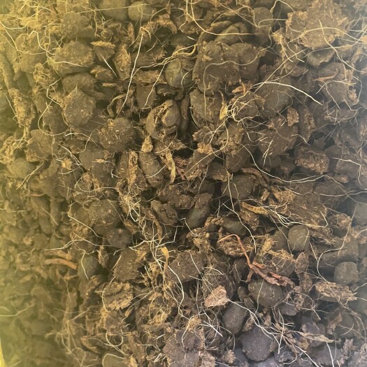 若尔盖县草原纯干羊粪