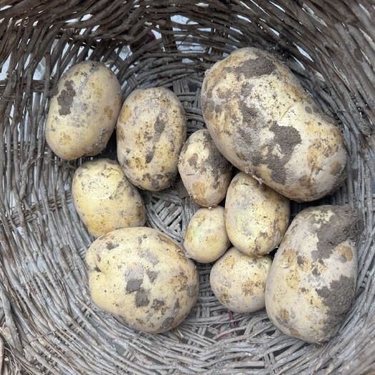 通渭县好吃，大