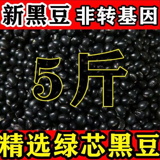 大庆东北绿芯黑豆农家自产5斤3斤2斤新豆可发芽打豆浆绿心黑豆新货