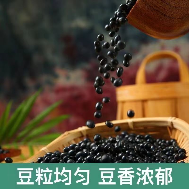 东北绿芯黑豆农家自产5斤3斤2斤新豆可发芽打豆浆绿心黑豆新货