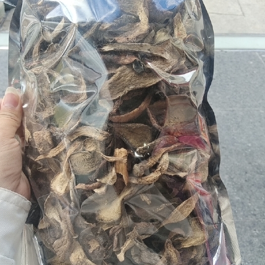丹巴县牛肝菌