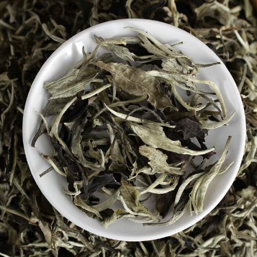 昆明云南景谷秧塔月光白茶含芽高白毫尽显花蜜香清甜回甘高品质白茶