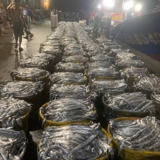 连江县干冰礼品盒等今年以全部清空过完年有少量的干包加工