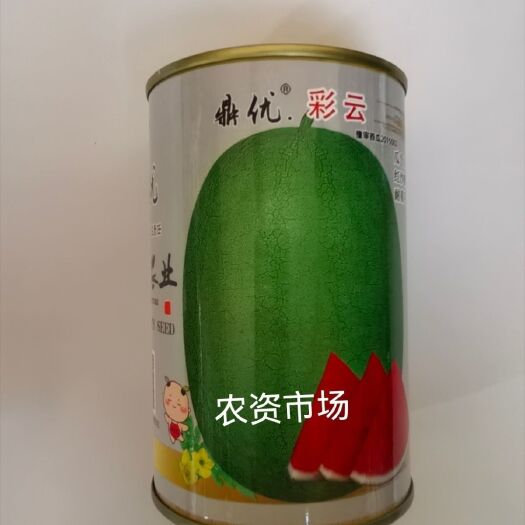 华容县鼎优彩云 红宝西瓜种子早熟 椭圆形晚熟品种抗病新货重茬产量高