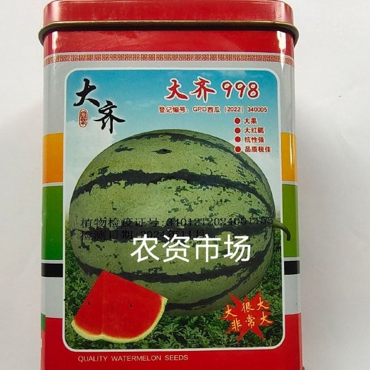 华容县安徽大齐378/998大果花皮西瓜种子高品质大红瓤抗性强耐盐